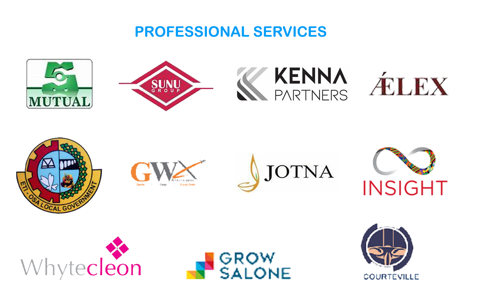 Professional Services Portfolio logo