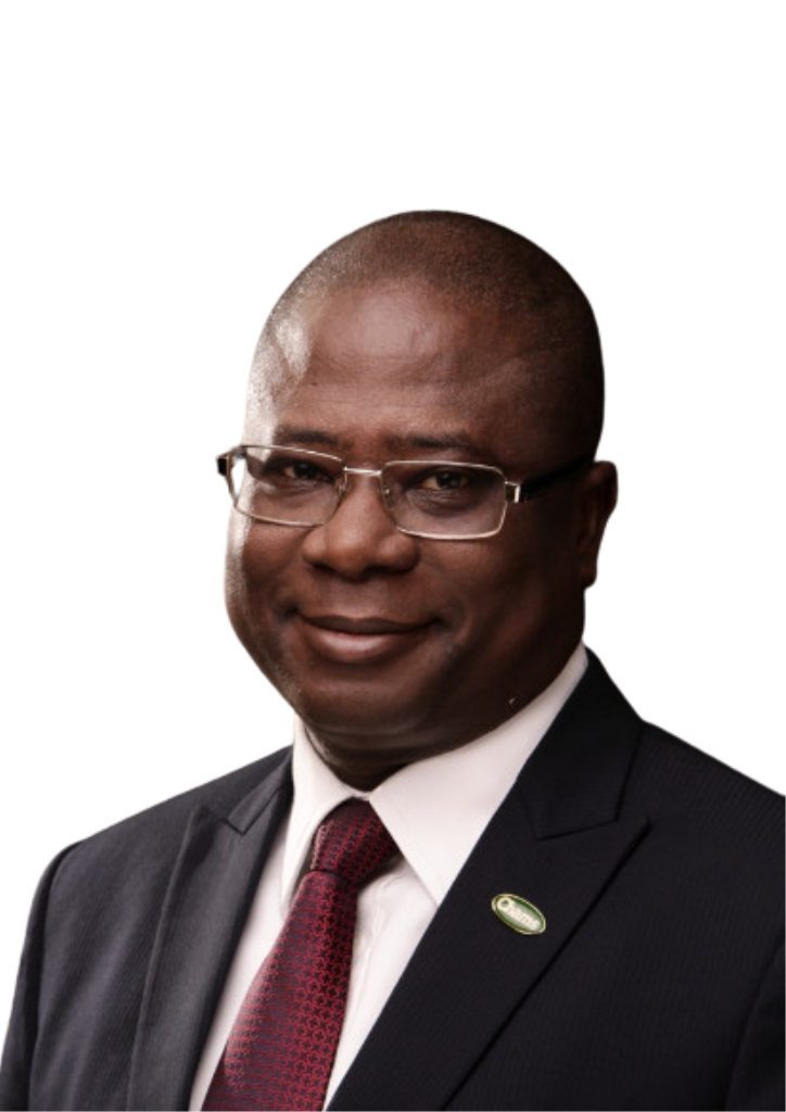 Portrait of Williams Olufemi